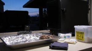 prepare clean protect store